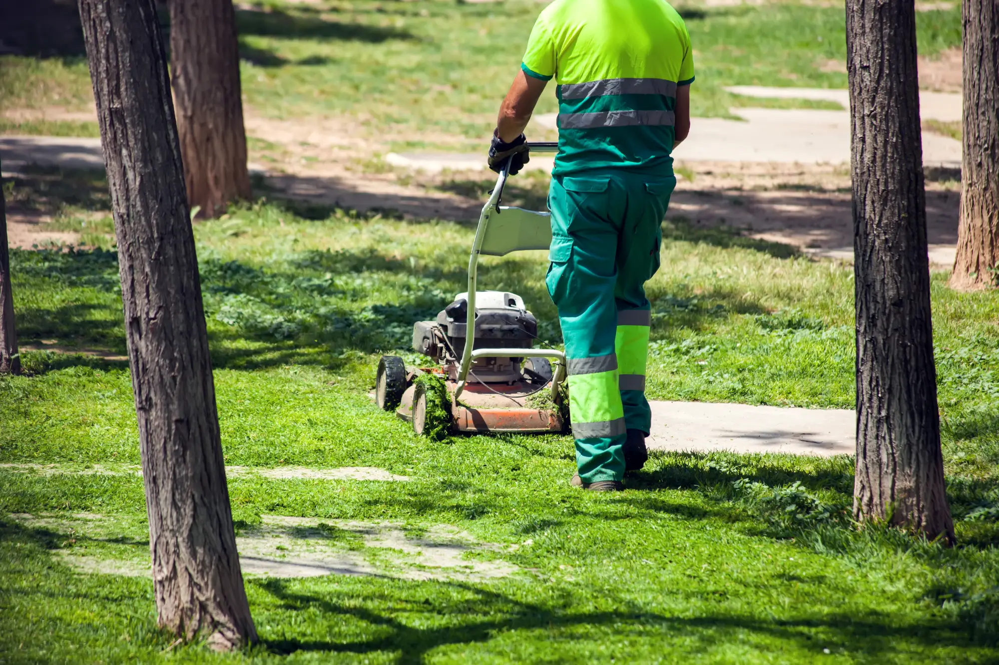 tonte d'un jardin  avec une tondeuse 